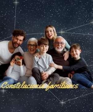 6 Sesiones de Constelaciones Familiares